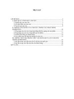 NHỮNG ỨNG DỤNG CỦA CẢM XÚC TRONG CÁC HOẠT ĐỘNG MARKETING