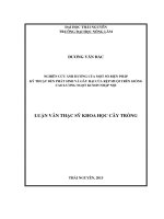 Nghiên cứu ảnh hưởng của một số biện pháp kỹ thuật đến phát sinh và gây hại của rệp muội trên giống cao lương ngọt KCS105 nhập nội