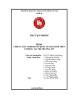 CHIẾN LƯỢC MARKETING QUỐC TẾ TRÒ CHƠI TRÊN DI ĐỘNG TẠI THỊ TRƯỜNG MỸ