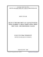 Quản lý rủi ro cho vay tại Ngân hàng Nông nghiệp và Phát triển nông thông Việt Nam, chi nhánh Bắc Giang