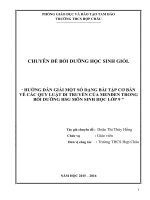 HƯỚNG DẪN GIẢI MỘT SỐ DẠNG BÀI TẬP CƠ BẢN VỀ CÁC QUY LUẬT DI TRUYỀN CỦA MENĐEN TRONG BỒI DƯỠNG HỌC SINH GIỎI MÔN SINH HỌC LỚP 9