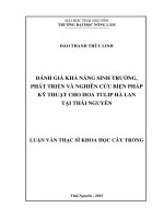 Đánh giá khả năng sinh trưởng, phát triển và nghiên cứu biện pháp kỹ thuật cho hoa tulip hà lan tại thái nguyên 