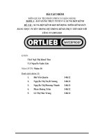 XUNG ĐỘT KÊNH KHI MỞ RỘNG THÊM KÊNH BÁN HÀNG TRỰC TUYẾN TRONG HỆ THỐNG KÊNH-THỰC TIỄN ĐỐI VỚI CÔNG TY ORTLIEB