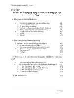 Triển vọng áp dụng Mobile Marketing tại Việt Nam