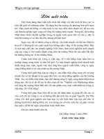 Nghiên cứu Marketing nhằm mở rộng thị trường Nhật bản đối với sản phẩm may mặc xuất khẩu tại công ty dệt may 29-3 đà nẵng