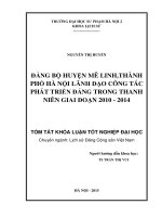 ĐẢNG BỘ HUYỆN MÊ LINH,THÀNH PHỐ HÀ NỘI LÃNH ĐẠO CÔNG TÁC PHÁT TRIỂN ĐẢNG TRONG THANH NIÊN GIAI ĐOẠN 2010 - 2014