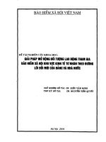 giải pháp mở rộng đối tượng lao động tham giá bảo hiểm xã hội khu vực kinh tế tư nhân theo đường lỗi đổi mới của đảng
