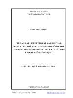 Chế tạo vật liệu từ Silicat và photphat, nghiên cứu khả năng hấp phụ một số ion kim loại nặng trong môi trường nước của vật liệu và định hướng ứng dụng