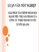 Bài thuyết trình giải pháp tài chính nhằm đẩy mạnh tiêu thụ sản phẩm của công ty TNHH thành tuyên, tuyên quang