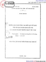 Những giải pháp nâng cao hiệu quả sử dụng vốn tín dụng ngân hàng đối với các doanh nghiệp thương mại ở Việt Nam