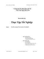 Tìm hiểu xây dựng website du lịch travelling mrt 