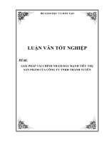 Luận văn tốt nghiệp giải pháp tài chính nhằm đẩy mạnh tiêu thụ sản phẩm của công ty TNHH thành tuyên