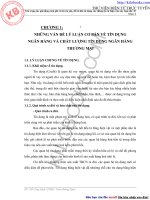 Thực trạng chất lượng tín dụng và giải pháp nâng cao chất lượng tín dụng tại chi nhánh ngân hàng công thương tình An Giang