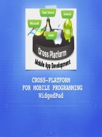 Tìm hiểu về widgetpad trên thiết bị di động