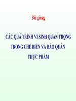 Bài giảng vi sinh thực phẩm các quá trình chuyển hoá quan trọng của vi sinh vật
