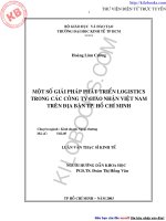 Một số giải pháp phát triển Logistics trong các công ty giao nhận Việt Nam trên địa bàn thành phố Hồ Chí Minh
