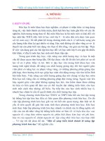 SKKN môn hóa THCS (đã đạt giải)