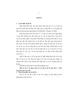 Quản lỷ rủi ro tín dụng trong cho vay đầu tư tại sở giao dịch i   ngân hàng phát trỉến việt nam 