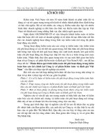 Hoàn thiện qui trình kiểm toán chi phí hoạt động trong kiểm toán báo cáo tài chính tại Công ty cổ phần Kiểm toán và định giá Việt Nam