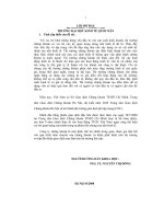 HOÀN THIỆN tổ CHỨC HẠCH TOÁN kế TOÁN TRONG các CÔNG TY CHỨNG KHOÁN ở VIỆT NAM 