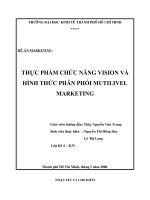 THỰC PHẨM CHỨC NĂNG VISION VÀ HÌNH THỨC PHÂN PHỐI MUTI LIVEL MARKETING