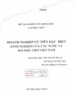 Doanh nghiệp ưu tiên đặc biệt kinh nghiệm của các nước và bài học cho việt nam