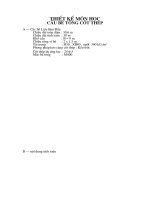 Thiết kế môn học Cầu bê tông cốt thép