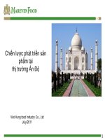 Chiến lược phát triển sản phẩm tại thị trường Ấn Độ