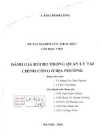 Đánh giá rủi ro trong quản lý tài chính công ở địa phương