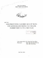 Giải pháp nâng cao hiệu quả sử dụng vốn kinh doanh trong các doanh nghiệp nhỏ và vừa việt nam