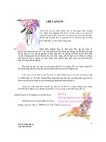 hoàn thiện công tác tiền lương và các khoản trích theo lương tại công ty TNHH SX TM vĩnh trường phát 