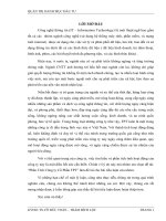 Bài tiểu luận: Phân tích Công ty Cổ Phần FPT