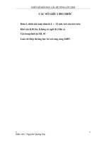 Thiết kế môn học cầu bê tông cốt thép