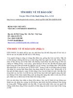 TÌM HIỂU về tế bào gốc