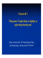 Bài giảng Nghiệp vụ ngân hàng thương mại: Chương 1  TS. Trương Quang Thông