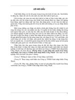 Phương hướng và giải pháp đẩy mạnh hoạt động xuất khẩu của Công ty TNHH Xuất nhập khẩu Cường Thịnh