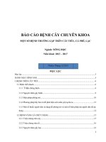 Báo cáo bệnh cây chuyên khoa một số bệnh thường gặp trên cây tiêu, cà phê, lạc