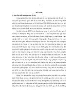 Tác động của phát triển các khu công nghiệp đến nông thôn qua nghiên cứu thực tiễn tại tỉnh Hưng Yên