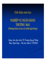 Bài giảng Nghiệp vụ ngân hàng thương mại: Giới thiệu môn học  TS. Trương Quang Thông