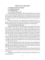 siêu âm gan mật tổng quát