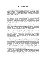 Tiểu luận: Vấn đề bản sắc dân tộc trong nền kinh tế mở