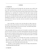 Tiểu luận: Tìm hiểu quy trình sản xuất ô mai