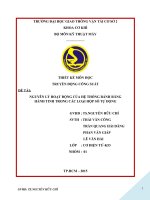 Bài tiểu luận: Nguyên lý hoạt động của hệ thống bánh răng hành tinh trong các loại hộp số tự động