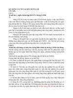 ĐỀ CƯƠNG ĐƯỜNG lối