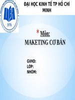 slide thuyết trình chiến lược kinh doanh của công ty sữa TH true milk