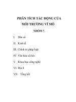 PHÂN TÍCH TÁC ĐỘNG CỦA MÔI TRƯỜNG VĨ MÔ