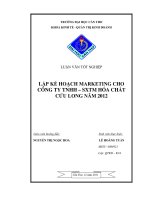 LẬP KẾ HOẠCH MARKETING CHO CÔNG TY TNHH – SXTM HÓA CHẤT CỬU LONG NĂM 2012