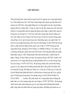 THỰC TRẠNG KÊNH PHÂN PHỐI CỦA MẠNG DI ĐỘNG VIETTEL MOBILE THÔNG QUA ĐẠI LÝ UỶ QUYỀN CẤP I