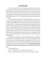 Một số biện pháp khai thác tốt nguồn hàng phát triển khách hàng công ty TNHH thương mại