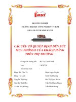 CÁC YẾU TỐ QUYẾT ĐỊNH ĐẾN SỨC MUA PHÔMAI CỦA KHÁCH HÀNGTRÊN THỊ TRƯỜNG